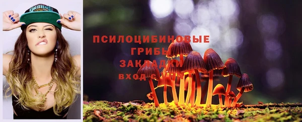 винт Надым