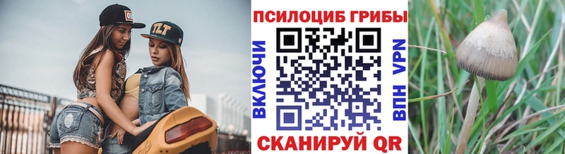 Галлюциногенные грибы мицелий Ельня